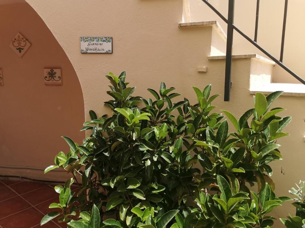 Mini appartamento Santa Maria room 1